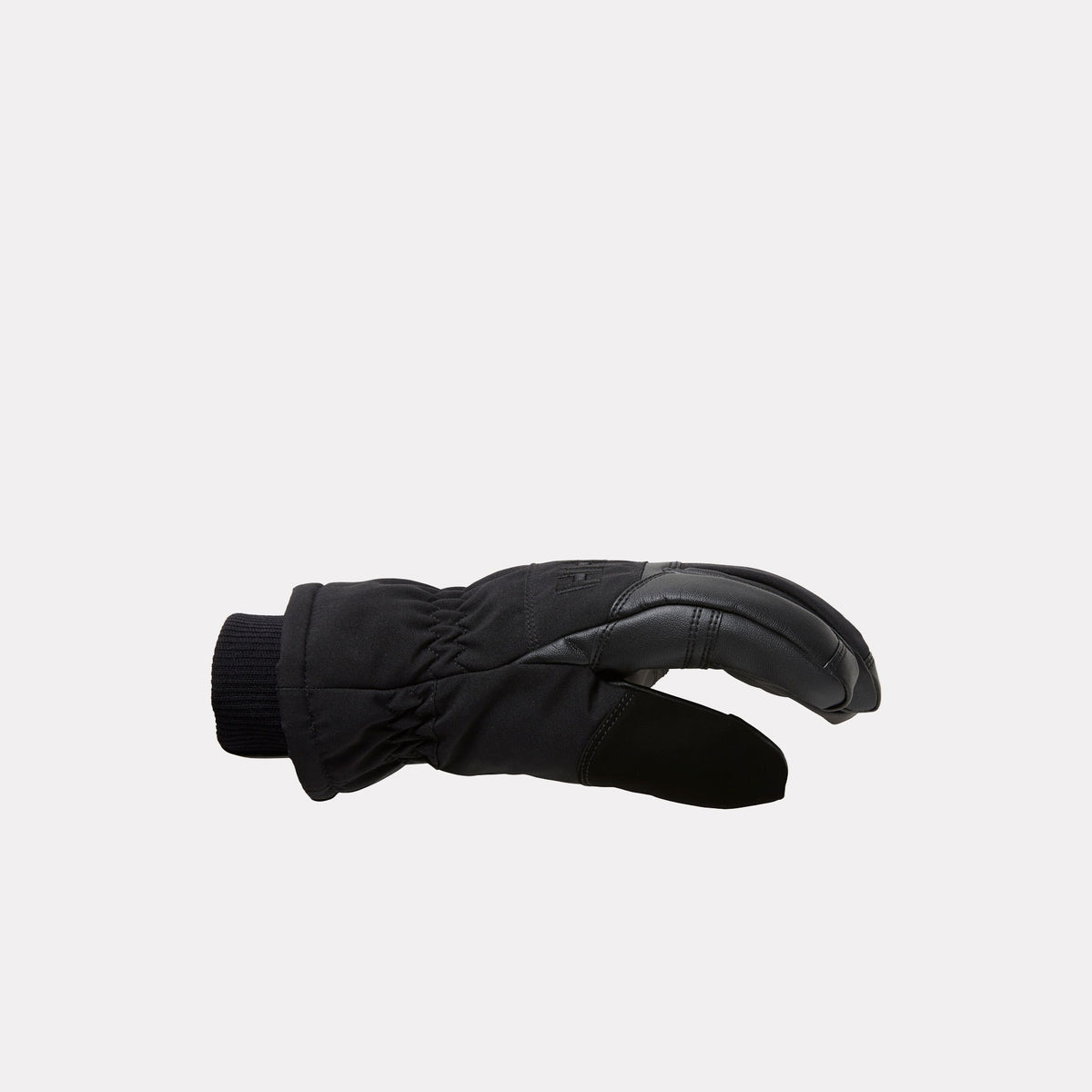 W ALL MOUNTAIN GLOVE, BLACK, L